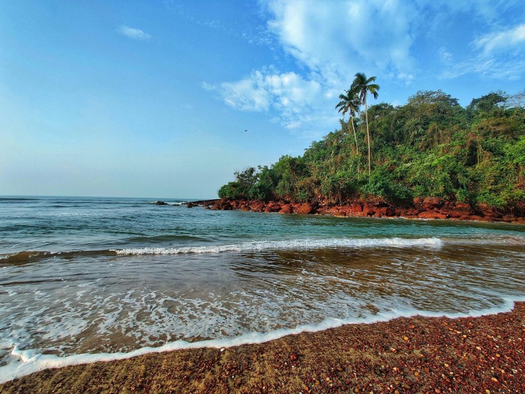 a beach with trees and rocks